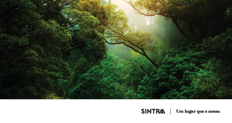 HORA DO PLANETA 2021